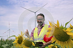 Smiling Engineer With Thumb Up Standing Against Wind Farm