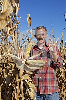 Smiling Farmer Holding Ripe Corncob on Corn Field