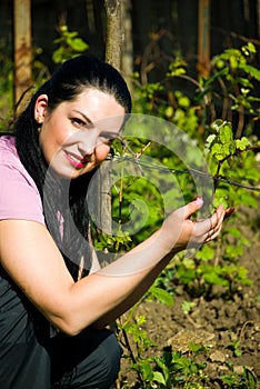 Smiling farmer woman in a spring vineyard