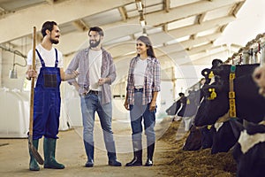 Smiling farmers and barn worker with spade in hand standing in cowshed and talking