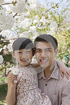 Smiling father and daughter enjoying the cherry blossoms on the tree in the park in springtime, portrait