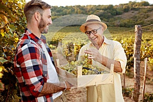 Smiling father vintner showing grapes to son