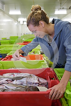 Smiling female working in fish factory