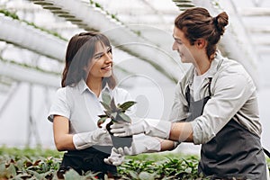 Smiling gardeners with shovels planting flowers in glasshouse