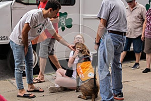 Smiling girl being kissed by adoptable pitbull