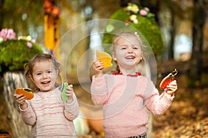 Smiling girls in the autumn park