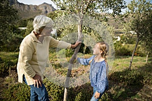 Smiling granddaughter and grandmother interacting with each other