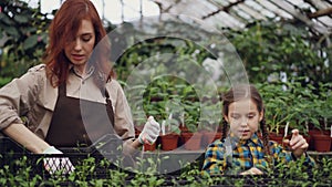 Smiling greenhouse worker and her adorable daughter are talking, taking pots with plantlets from container and putting