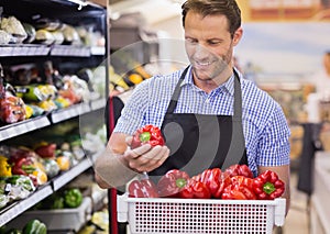 Smiling handsome worker taking a vegetable on her hand