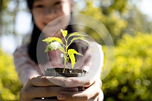 Smiling and happy asian child girl holding small tree for planting,female people showing young green plant in nature, campaign,