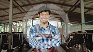 Smiling and happy farmers at the dairy farm. Agriculture industry, farming and animal husbandry concept ,Cow on dairy farm eating