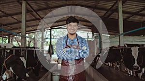 Smiling and happy farmers at the dairy farm. Agriculture industry, farming and animal husbandry concept ,Cow on dairy farm eating