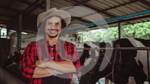 Smiling and happy farmers at the dairy farm. Agriculture industry, farming and animal husbandry concept ,Cow on dairy farm eating