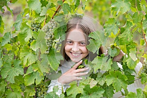 Smiling happy little kid girl eating ripe grapes on grapevine background. Child with harvest. Kid portrait on vineyards