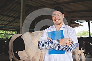 Smiling and happy Veterinarian at the dairy farm. Agriculture industry, farming and animal husbandry concept ,Cow on dairy farm