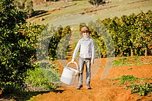 Smiling healthy boy on citrus farm holding bucket