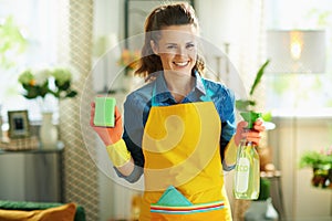 Smiling housewife with cleaning agent and sponge housecleaning photo