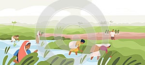 Smiling Indian farmers working in paddy field vector flat illustration. Man and woman in traditional clothes picking