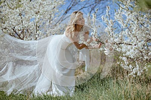 Smiling Lady in wedding gown stand near cherry blossom, lean over branch, going to take shoes on ramification of tree.