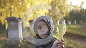 Smiling little baby boy playing in the park. Autumn. yellow maple leaves