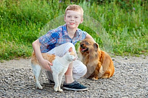 Smiling little boy with a cat and a dog sitting on the road, the guy stroking a dog, a cat rubs against the leg of the child