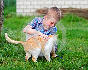 Smiling little boy in checkered shirt plays with a red cat