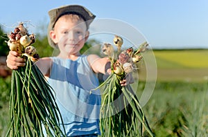 Smiling little boy with freshly harvested onions