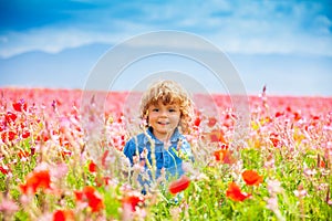 Smiling little boy in poppy field