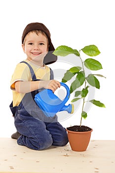 Smiling little boy watering the plant