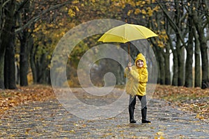 Smiling little boy in a yellow raincoat walking in the park with an umbrella. Autumn rainy day