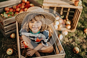 Smiling little child with apple sitting in wooden box in orchard.Organic fruits