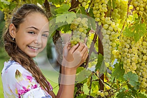 Smiling little long haired girl is holding ripe wine grapes