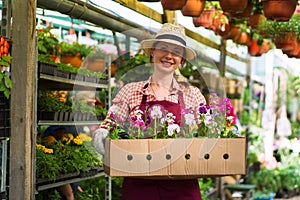 Smiling lovely young woman florist arranging plants in flower shop. The hobby has grown into a small business.