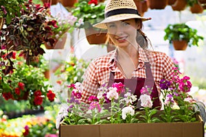 Smiling lovely young woman florist arranging plants in flower shop. The hobby has grown into a small business.