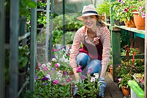 Smiling lovely young woman florist arranging plants in flower shop. The hobby has grown into a small business.