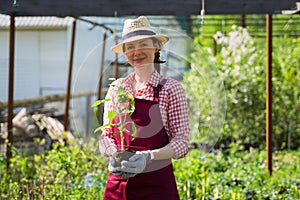 Smiling lovely young woman florist arranging plants in flower shop. The hobby has grown into a small business.