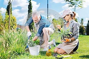 Smiling loving wife watching her handsome man grubbing the weeds up