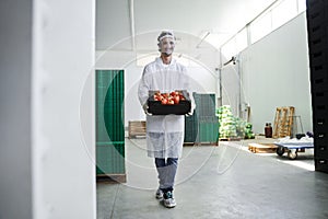 Smiling male worker carrying a cardboard of tomatoes
