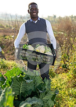 Smiling man with boxes of cauliflowers