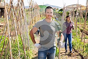 Smiling man with garden rake near wooden girders