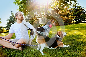 Smiling man keeping dogs on leash in summer