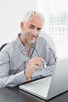 Smiling mature businessman using laptop in office