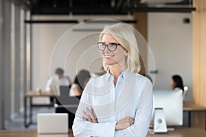 Smiling mature businesswoman dreaming in office, business vision concept
