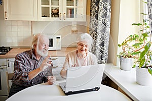 Smiling mature couple with documents and laptop in home interior