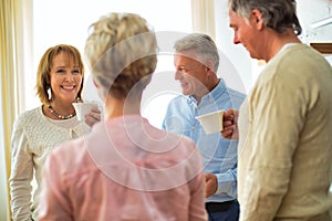 Smiling mature friends holding drinks while talking in living room at home