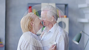 Smiling mid age older couple hugging and kissing standing at home.