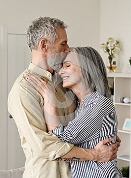 Smiling mid age older couple hugging and kissing standing at home.