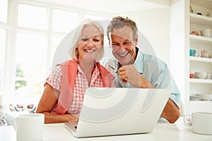 Smiling Middle Aged Couple Looking At Laptop