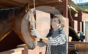 Smiling adult man stroking horse on animal ranch on autumn sunny day