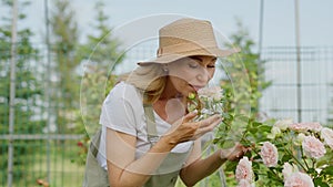 A smiling middle aged woman in profile view delicately tilts head for inhale the scent of favorite pink peonies. A lady